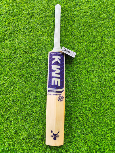 Gill77 - Player's Edition Season Cricket Bat