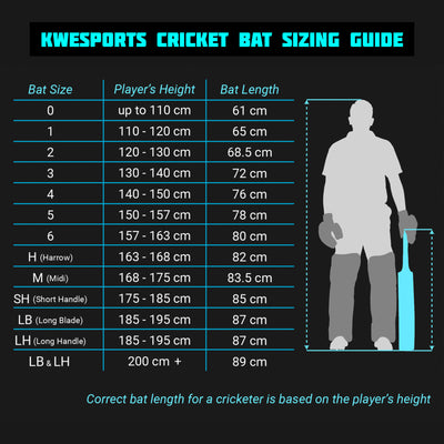 HYBRID MSD EDITION Season Cricket Bat